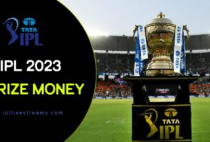IPL 2023 Prize Money: The BCCI Reveled the IPL T20 Prize Money